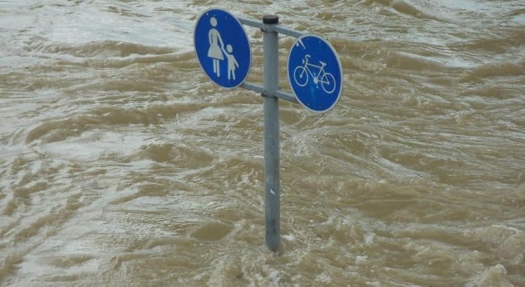 Zwei verkehrsschilder im Hochwasser.