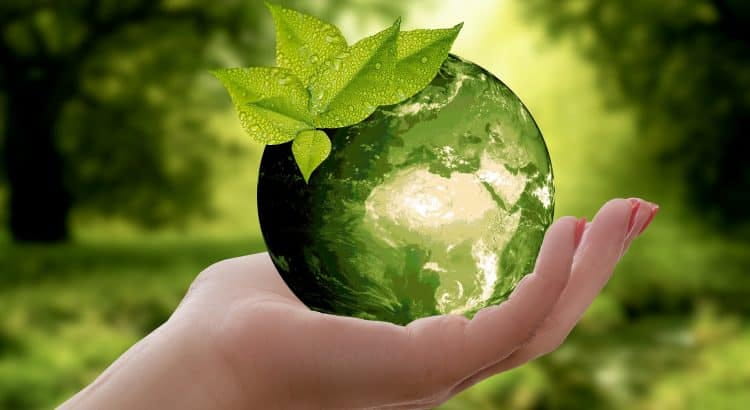 Grüner Globus in einer Hand.