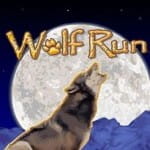 Wolf Run Spiele
