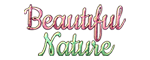 Beautiful Nature