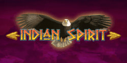 Indian Spirit